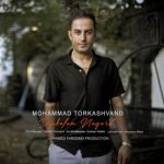 محمد ترکاشوند – دنبالم نگرد